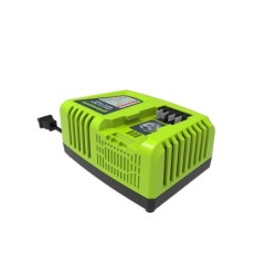 Chargeur Rapide Greenworks G40Uc4, 40 V