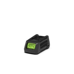 Chargeur Greenworks G24Uc, 24 V