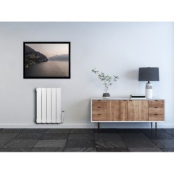 Radiateur électrique à inertie fluide, CELCIA, 1000 W horizontal blanc