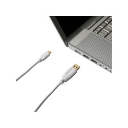 Câble Chargeur Usb Type C, 2 M Blanc Evology