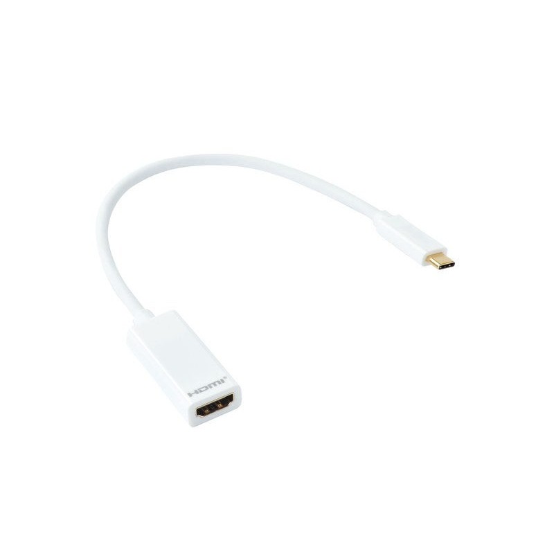 Câble Hdmi Femelle Vers Usb Type C Mâle, 0.2 M Evology