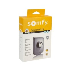 Contacteur À Clé Pour Motorisation De Portail, Somfy