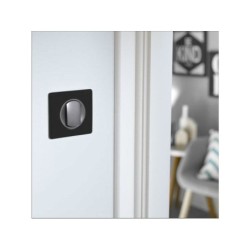 Plaque Simple Céliane, Legrand Carbone New