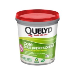 Colle pâte tous papiers peints QUELYD, 1 kg