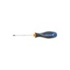 Tournevis Torx T10, L.80 Mm Dexter