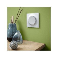 Plaque simple Odace Styl, SCHNEIDER ELECTRIC, aluminium