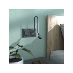 Plaque double Odace Styl, SCHNEIDER ELECTRIC, anthracite