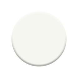 Peinture laque boiserie Valénite DULUX VALENTINE blanc mat 0.5 l