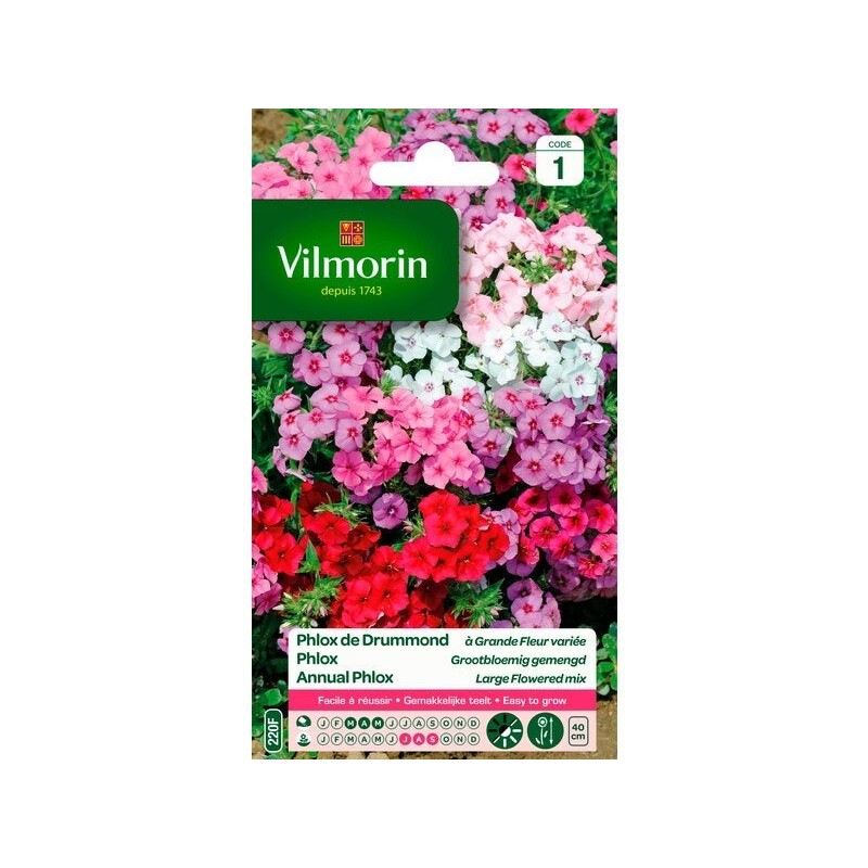 Graines florales phlox de drummond à grandes fleurs variés 1 g