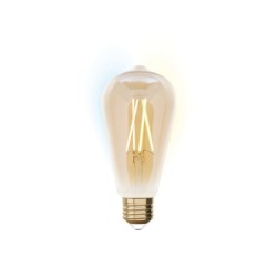 Ampoule Led intelligente edison ambre E27 806LM variation blanc+intensité, IDUAL